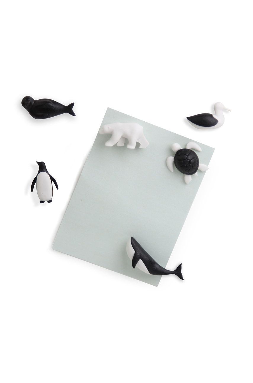 Qualy zestaw magnesów (6-pack)