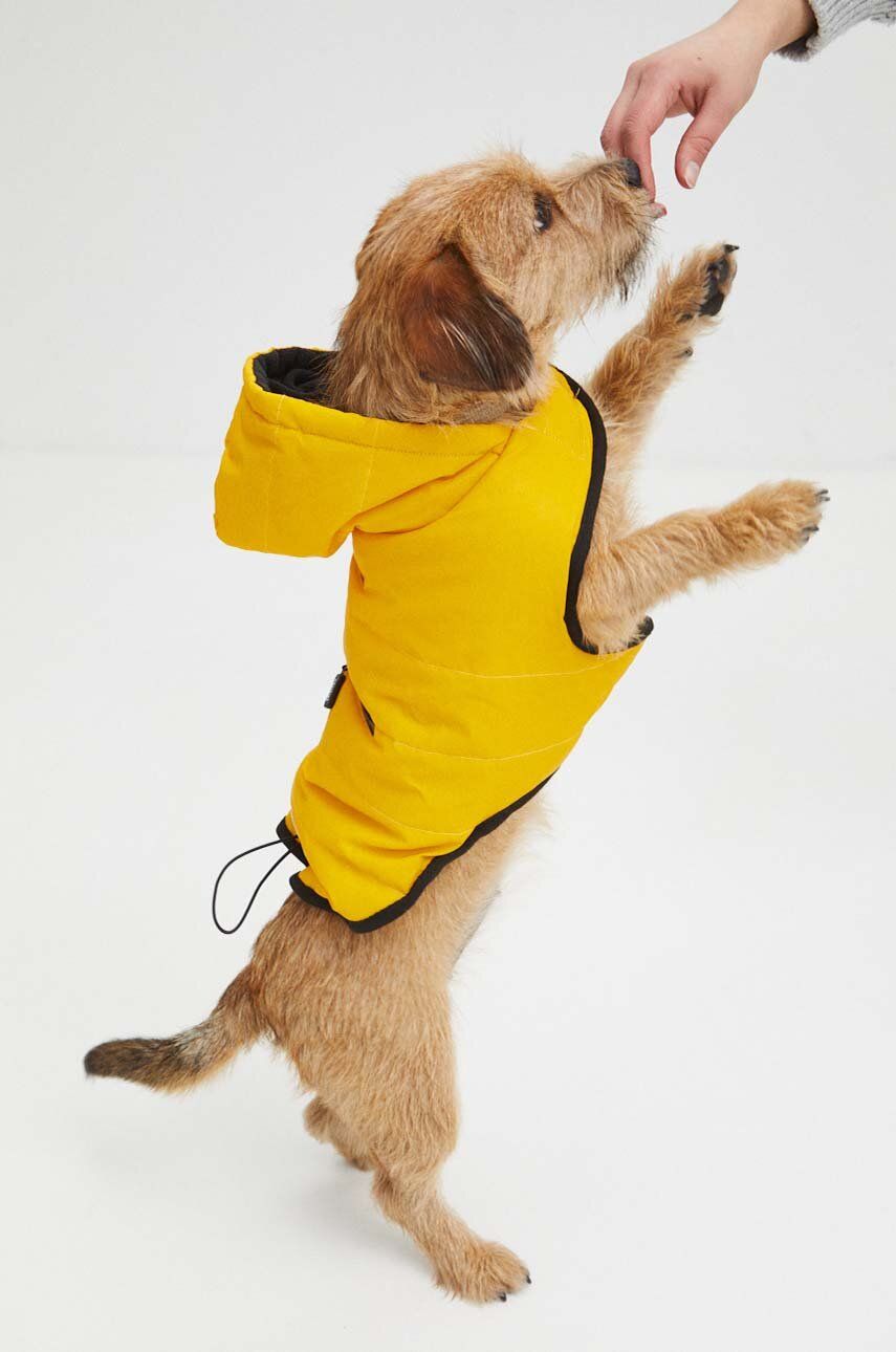 Medicine kurtka dla pupila