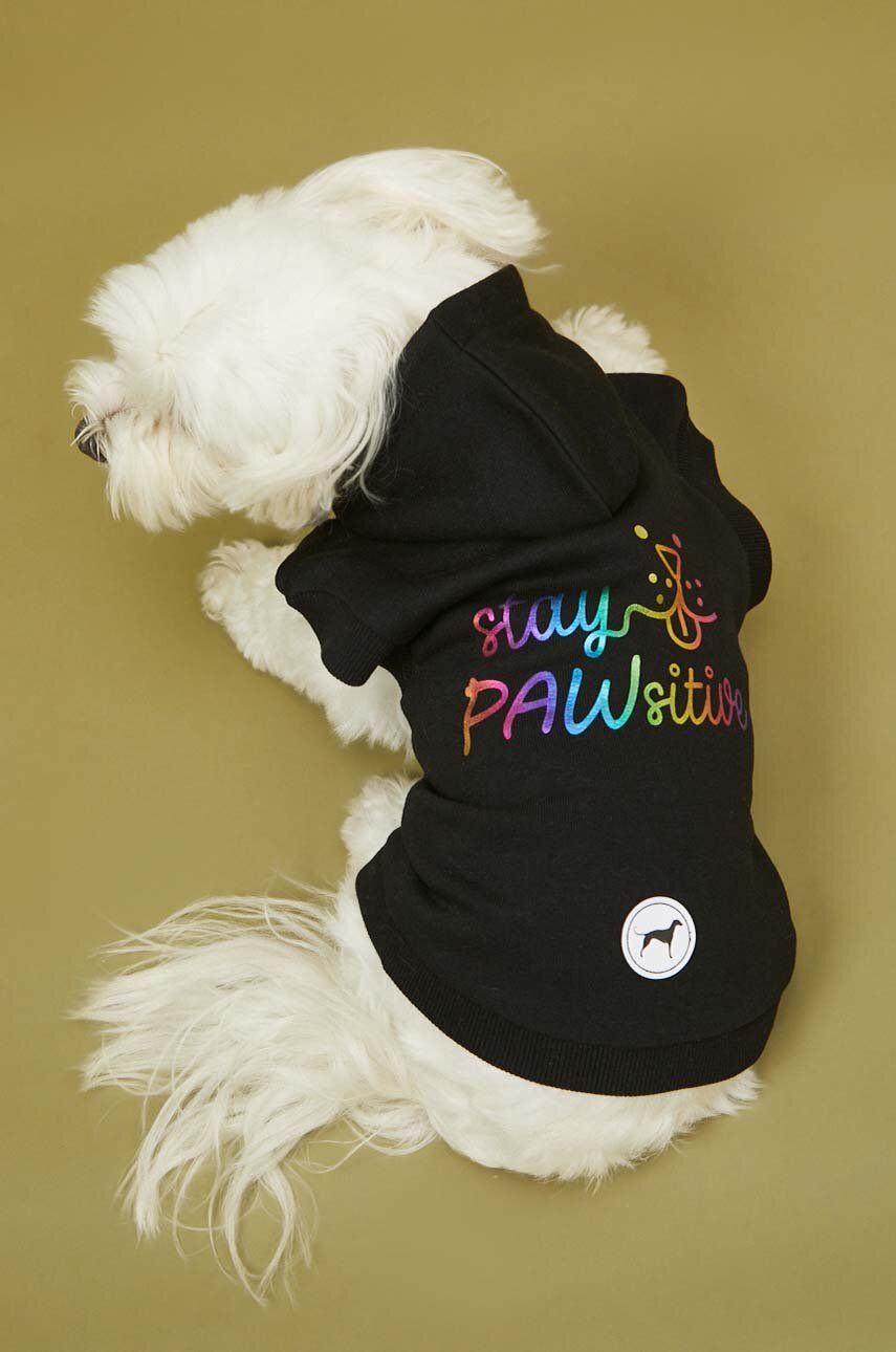 Medicine bluza dla pupila