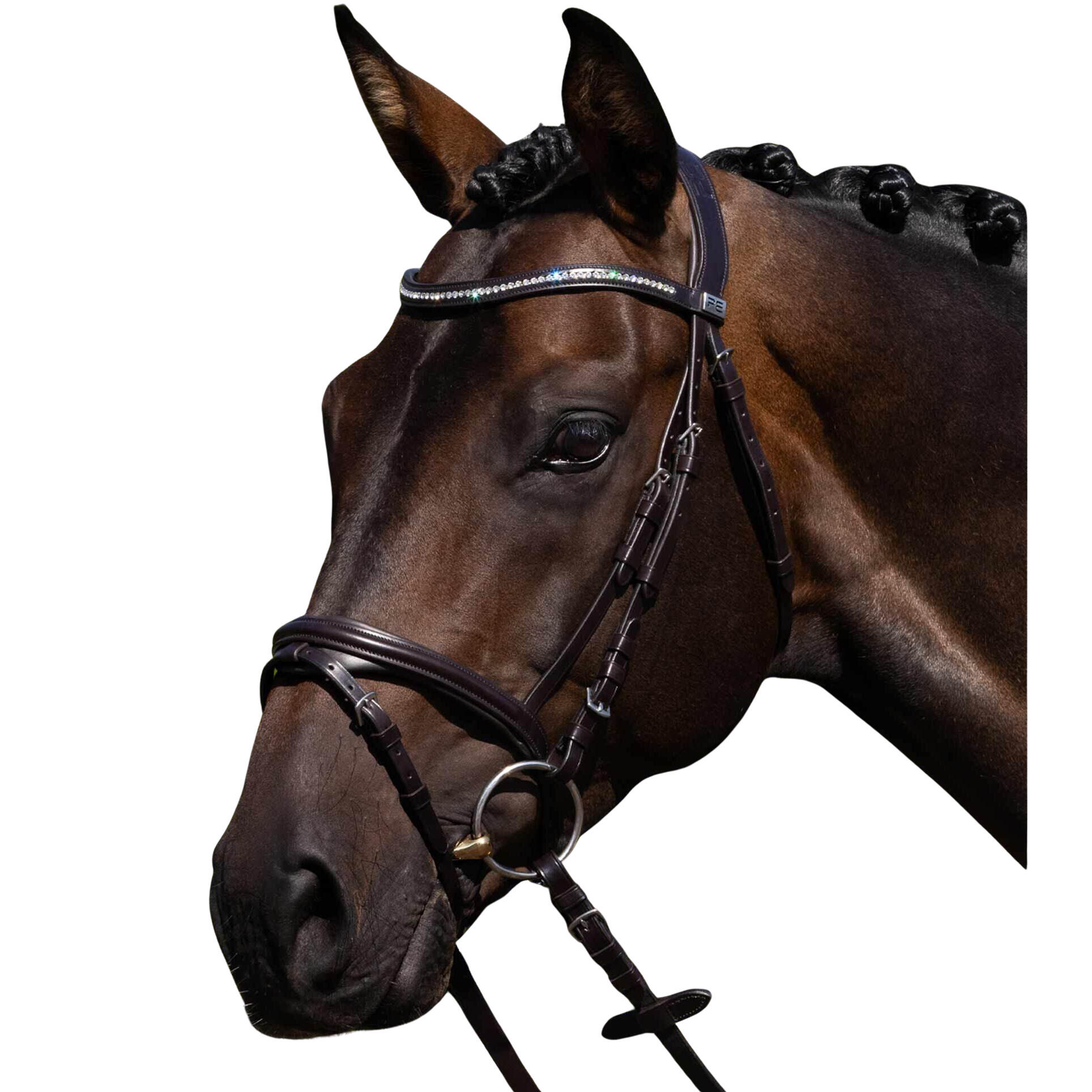 Siodło do jazdy konnej Premier Equine Rivere