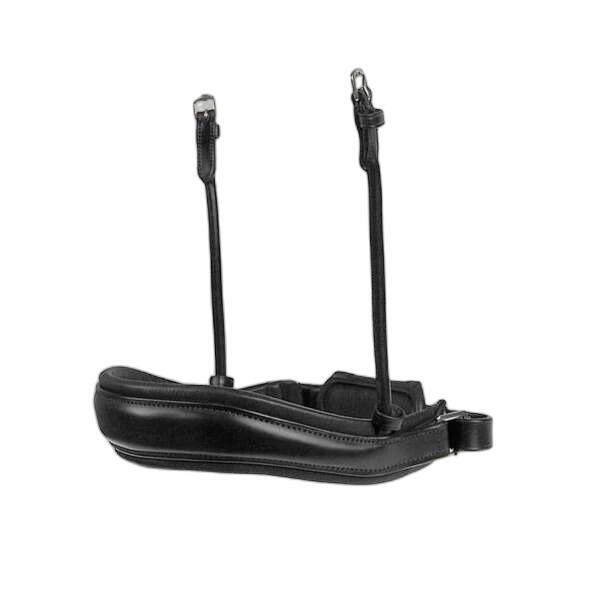 Nachrapnik PS of Sweden Passage