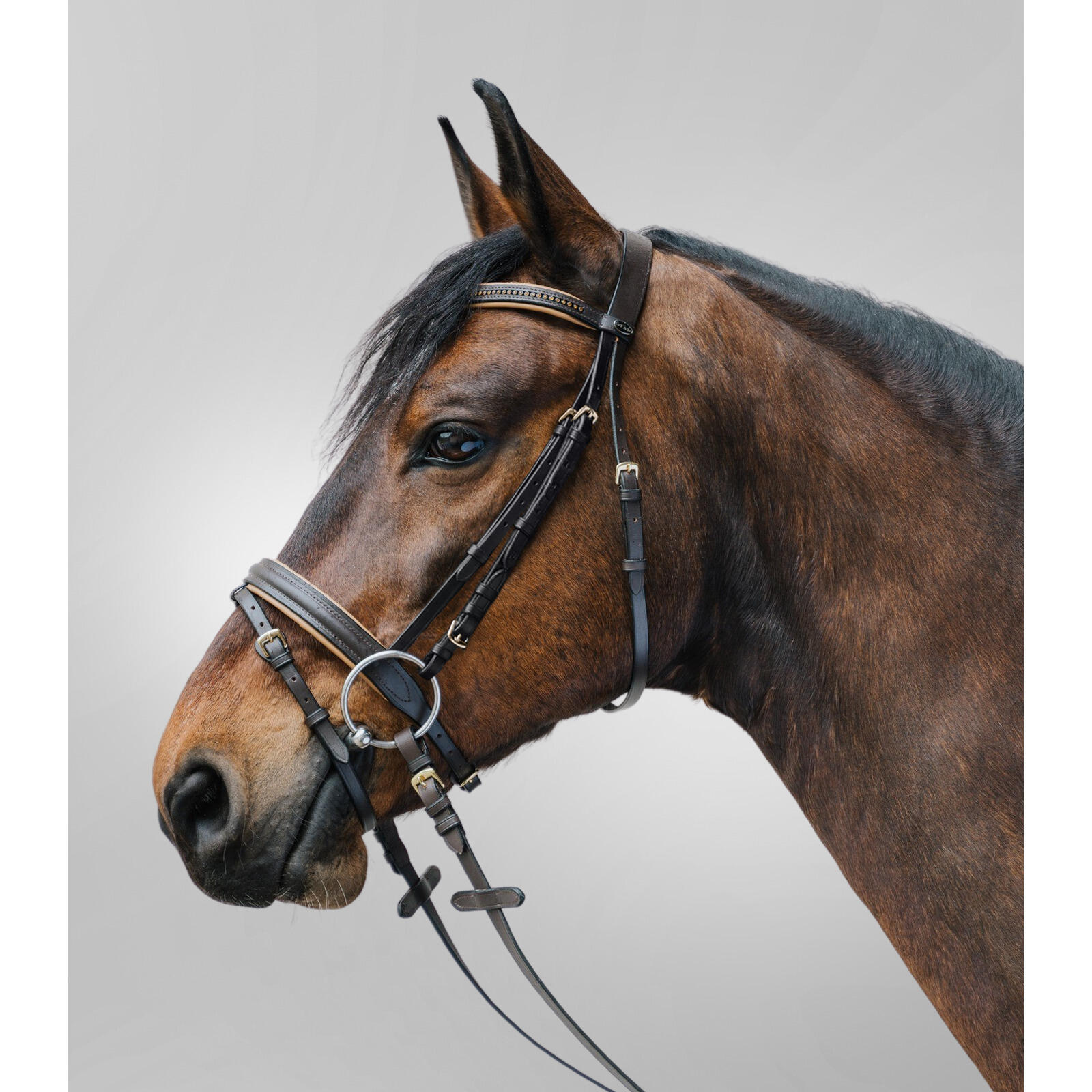 Siodło jeździeckie z kombinowanym nachrapnikiem Star Diamond