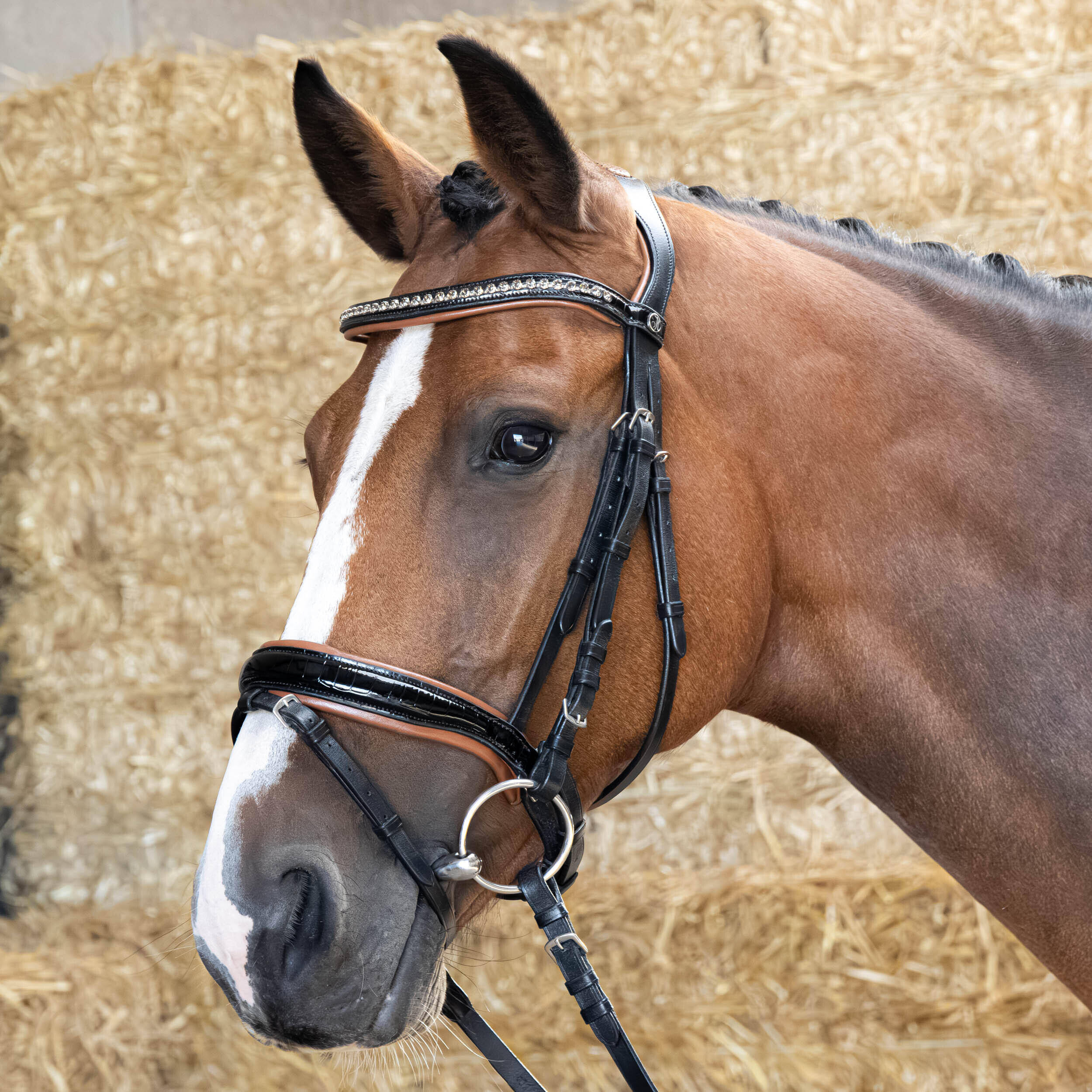 Uzda z nachrapnikiem kombinowanym Harry's Horse