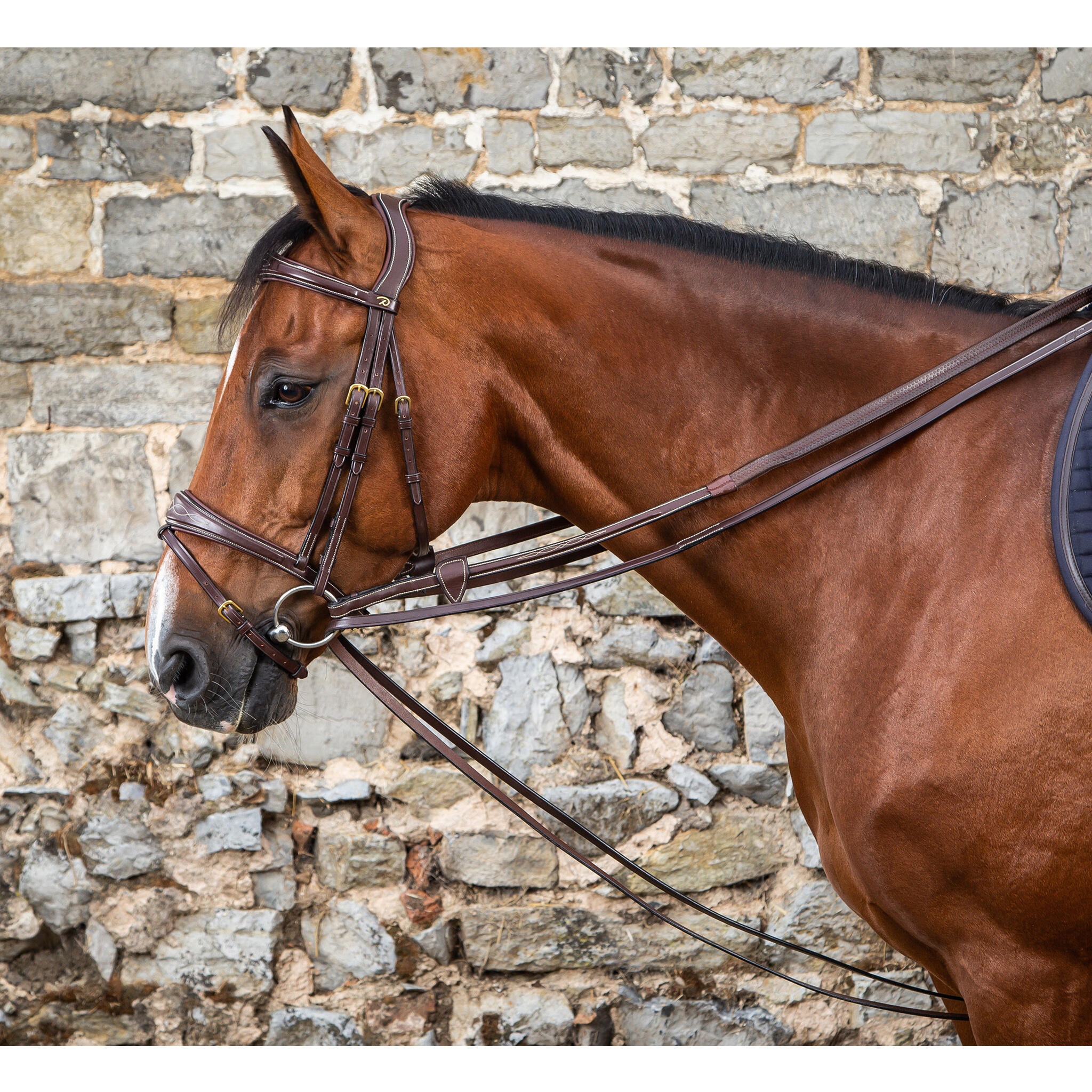 1/2 skórzane lejce dla konia Dy’on