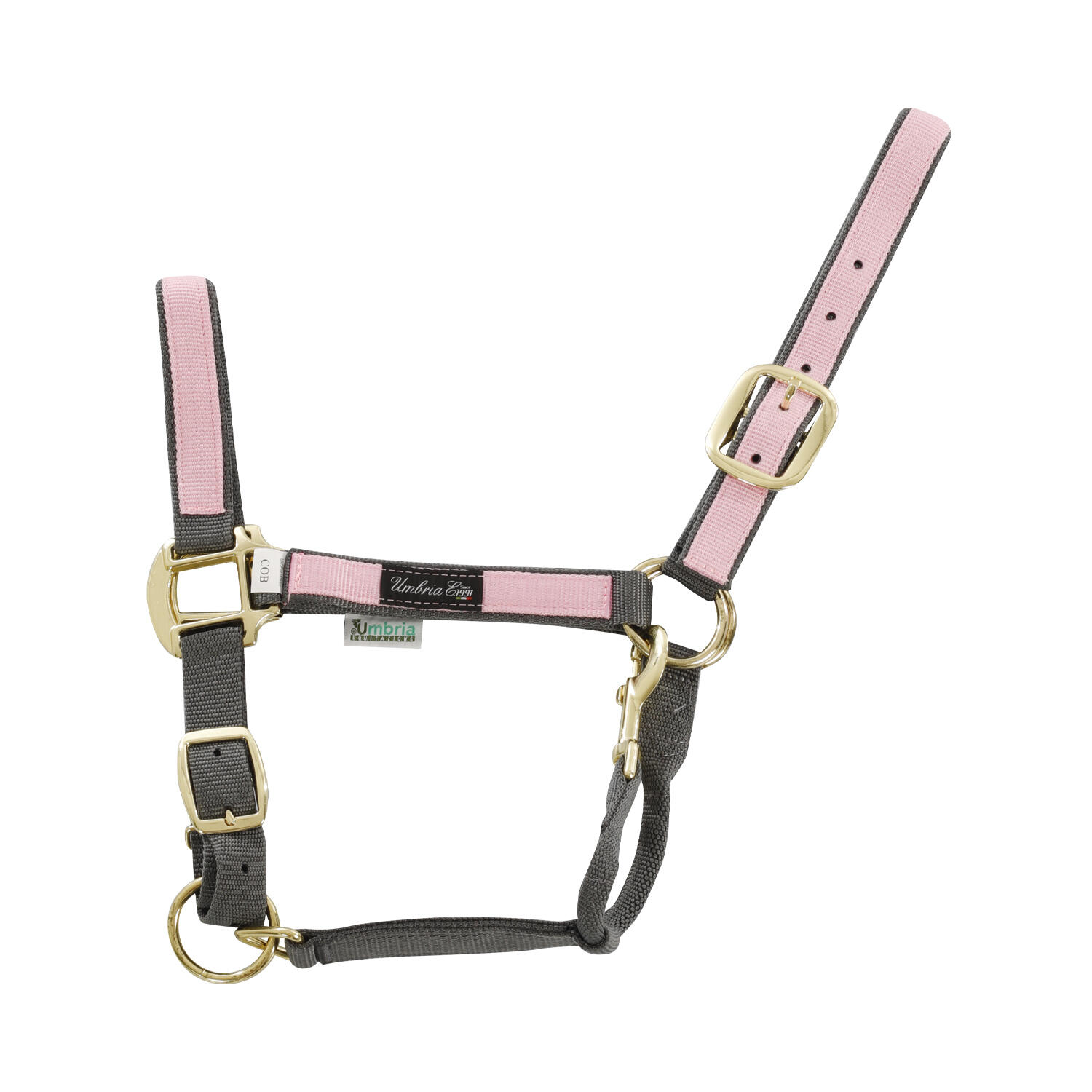 Smycz dla konia z kolorowego nylonu Umbria Equitazione