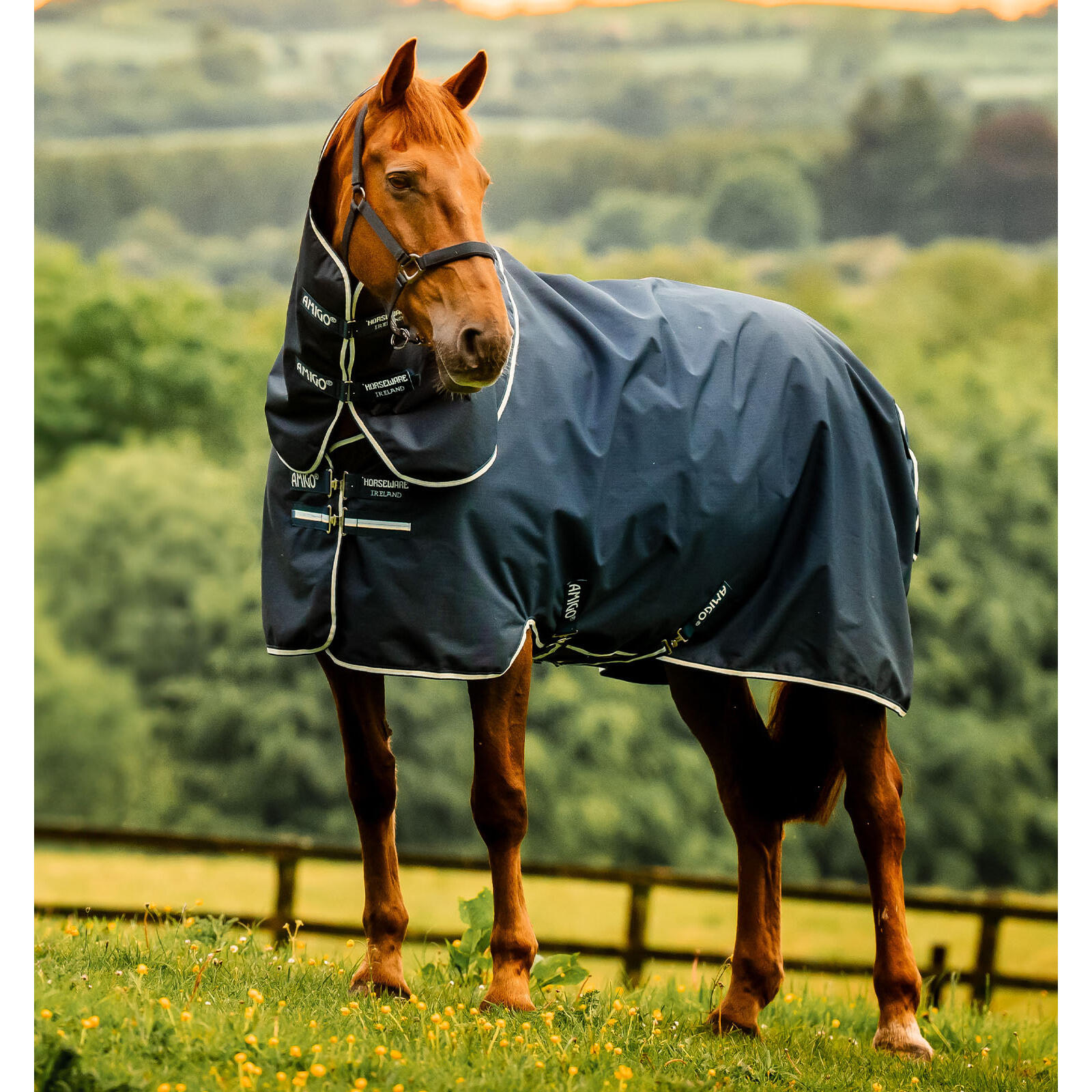 Derka dla kucyków zewnętrzna Horseware Amigo Ripstop 900D Plus 0g