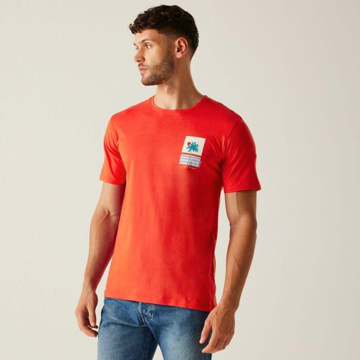 Koszulka męska Regatta ClineIX