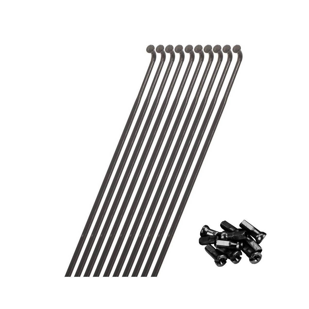 Promień koła przód dx tył sx Miche XM-50/XM-45 (x10)