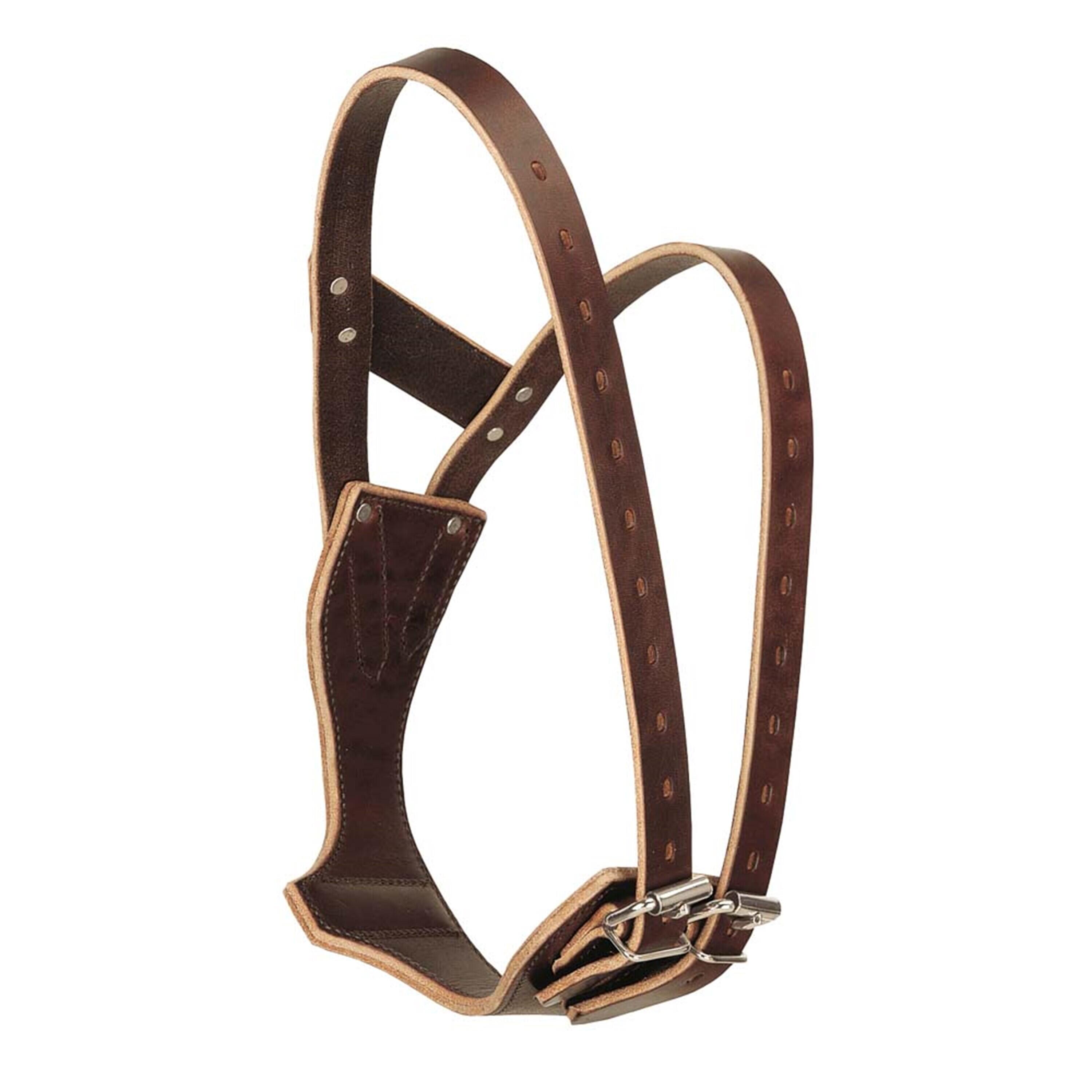 Obroża dla konia Weaver Miracle