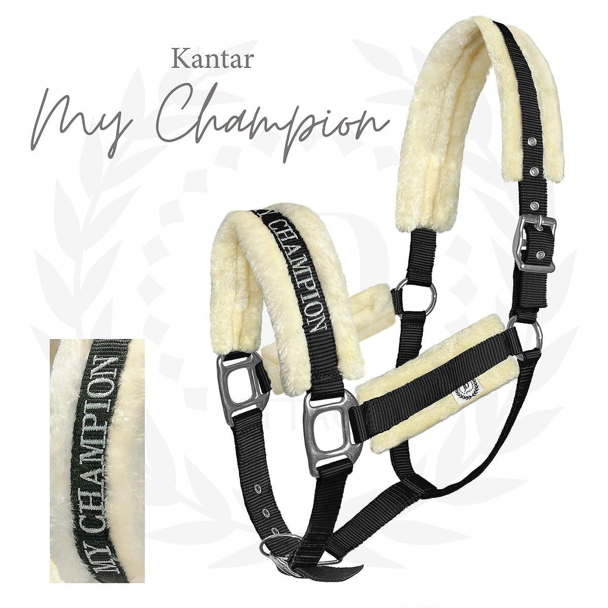 Kantar dla konia z futerkiem JD ATTACK My Champion