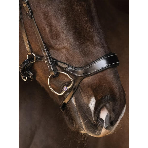 Nachrapnik PS of Sweden Pioneer