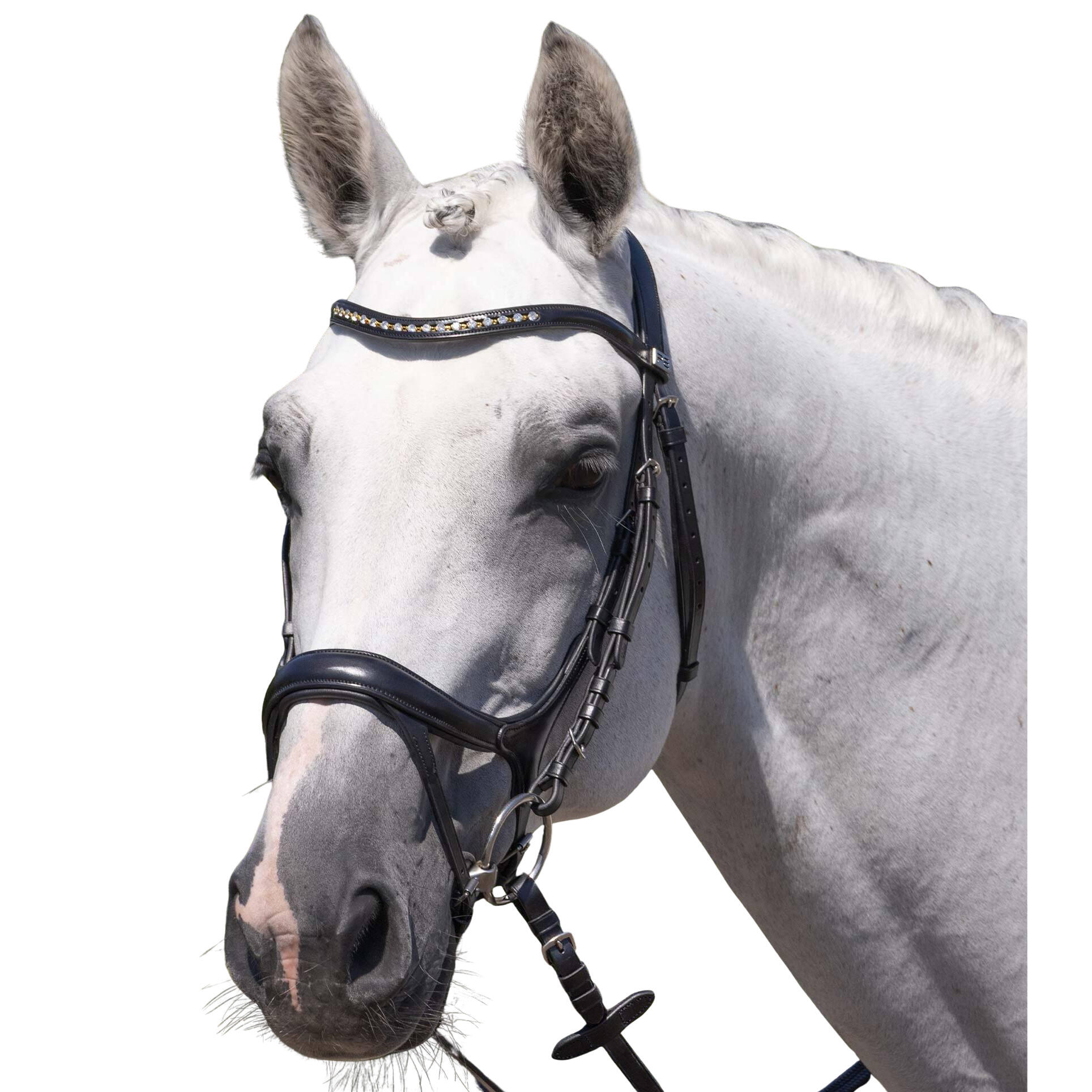 Siodło jeździeckie Premier Equine Palazzo