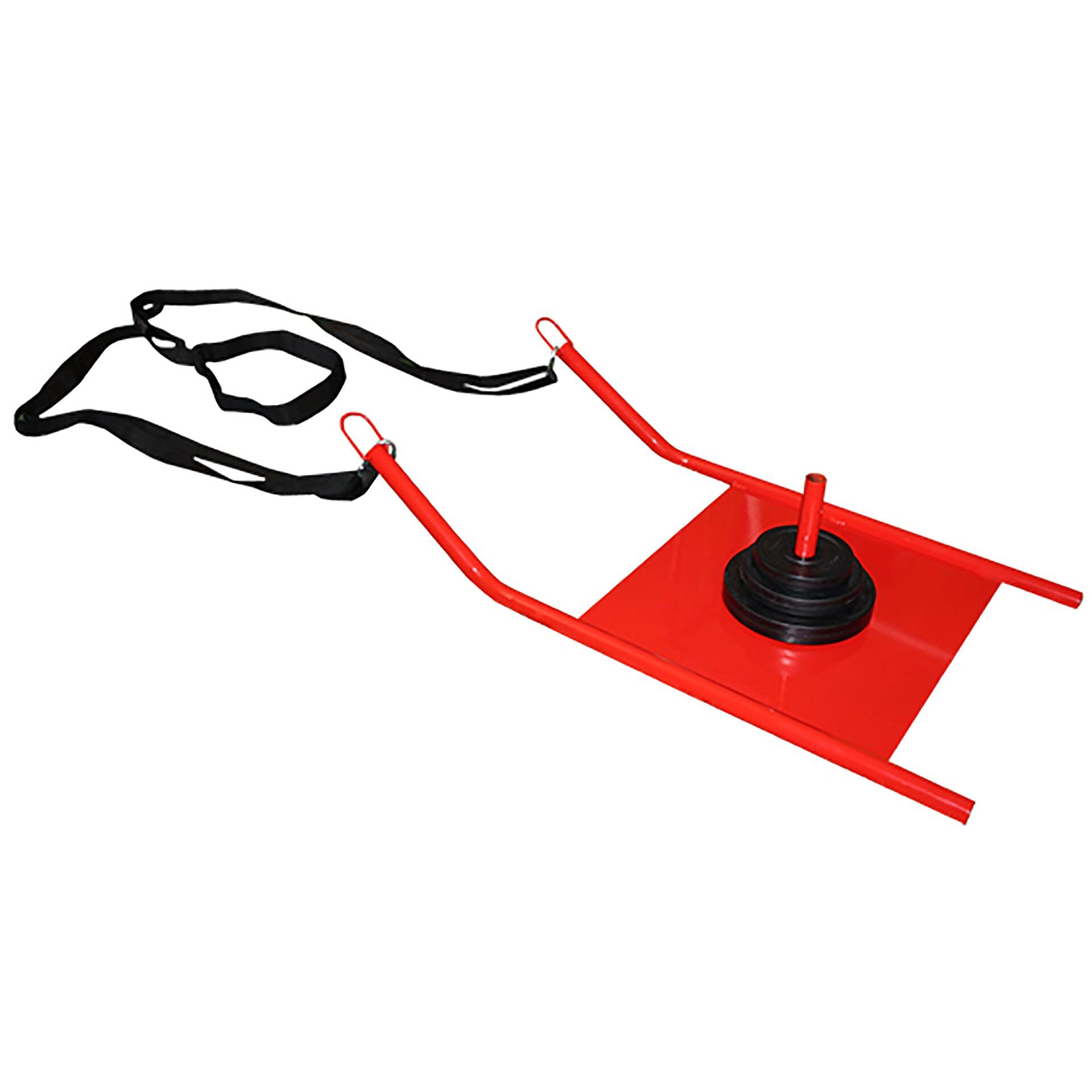 Szkolenie na sankach