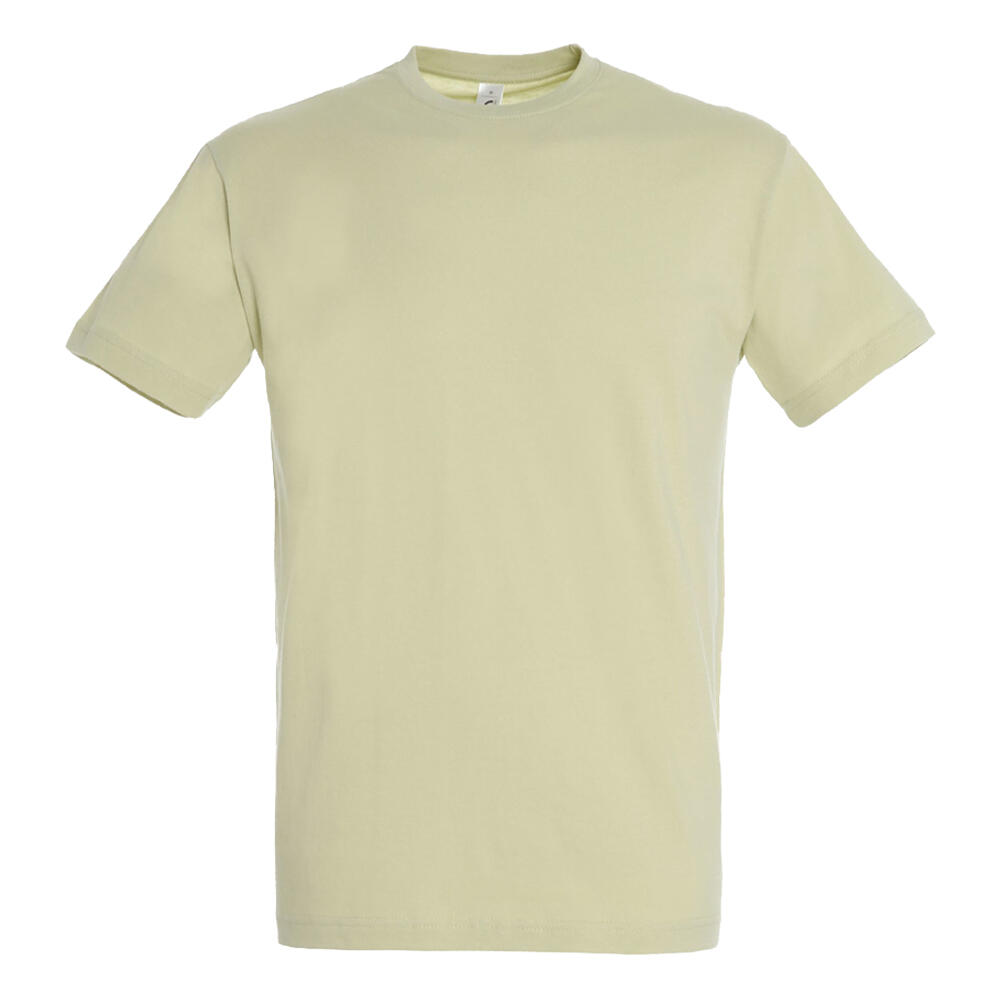 Koszulka Regent Dla Dorosłych Unisex