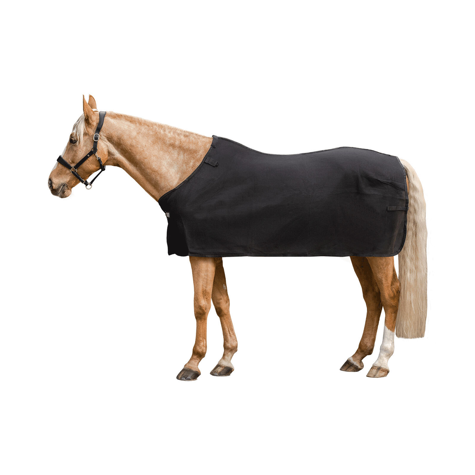 Podderkadla koni Waldhausen Air Mesh