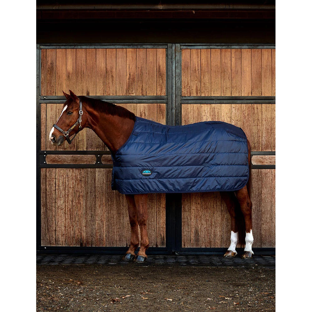 Podderkadla koni Weatherbeeta Comfitec 100g