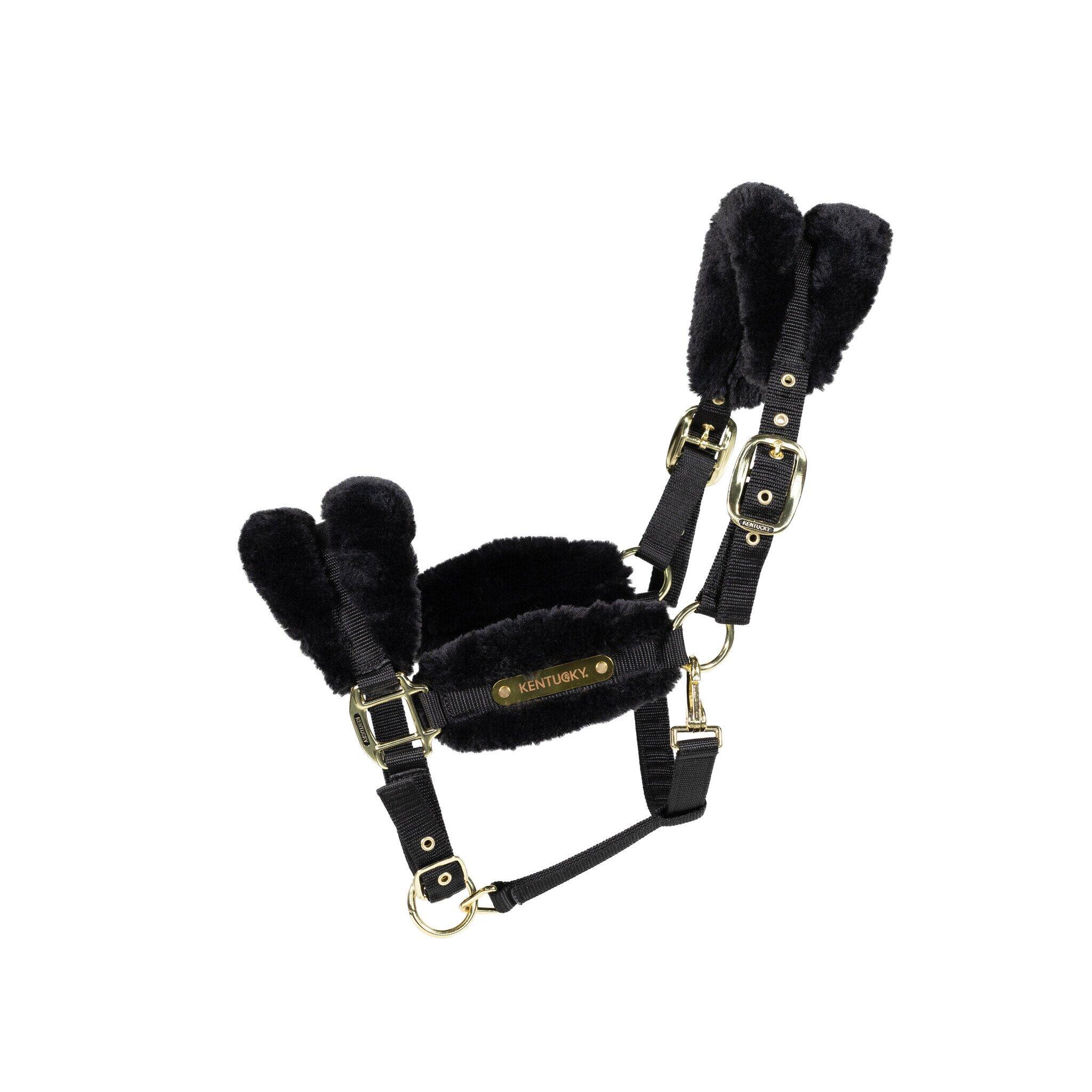 Kantar dla owiec Kentucky