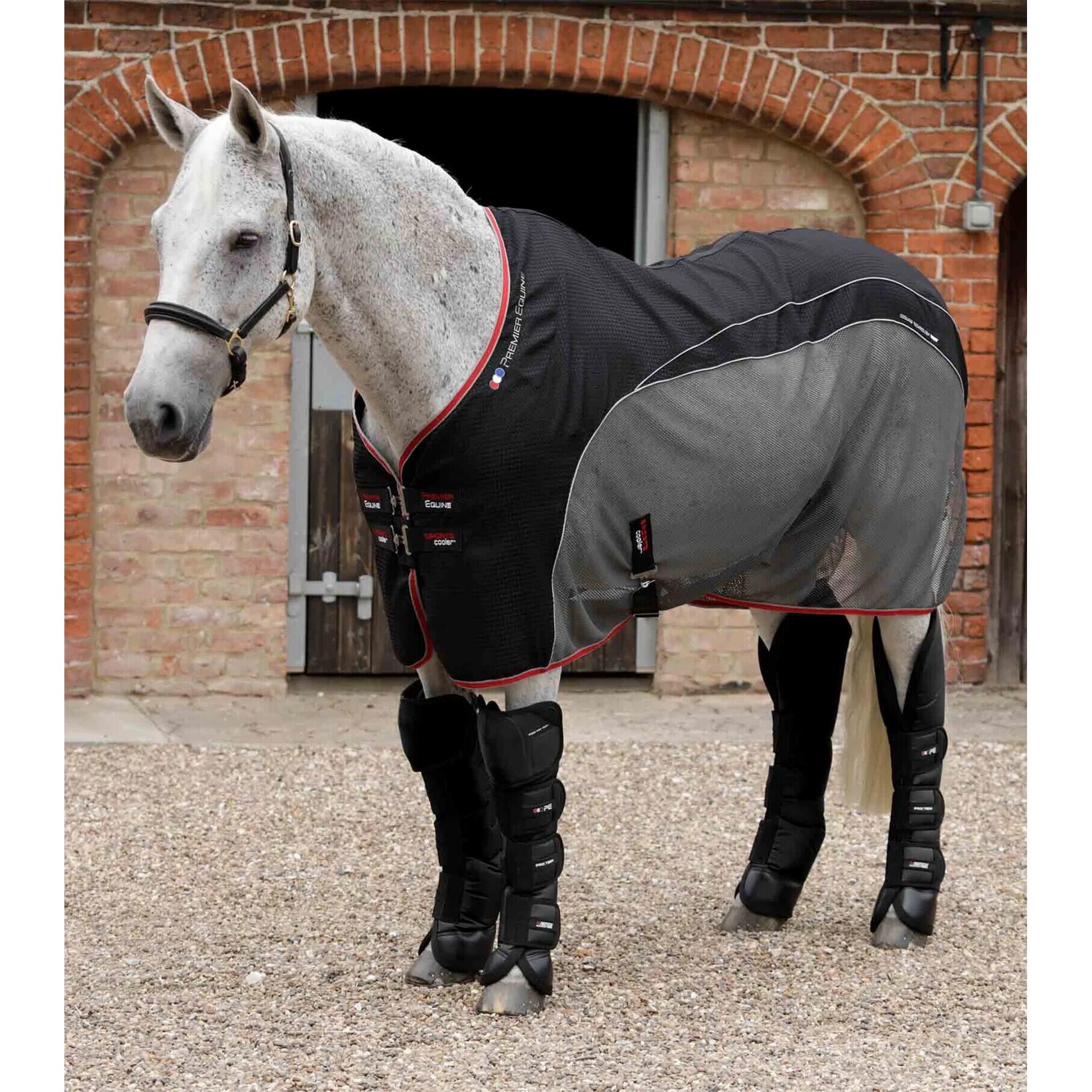Buty transportowe dla koni Premier Equine Ballistic Pro-Tech