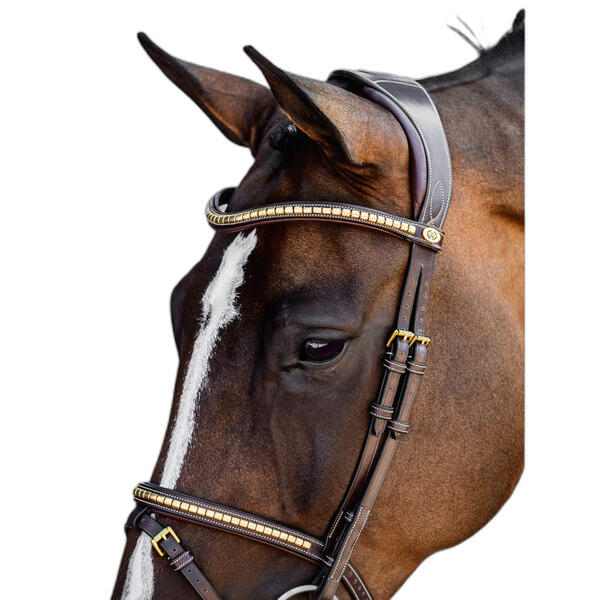 Uzda do jazdy konnej PS of Sweden Antwerp 2.0