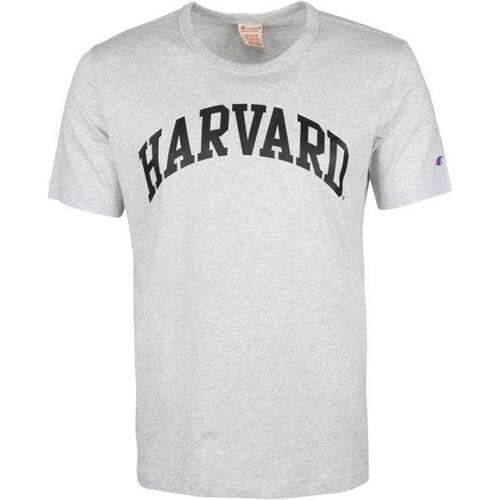 Koszulka sportowa męska Champion Harvard