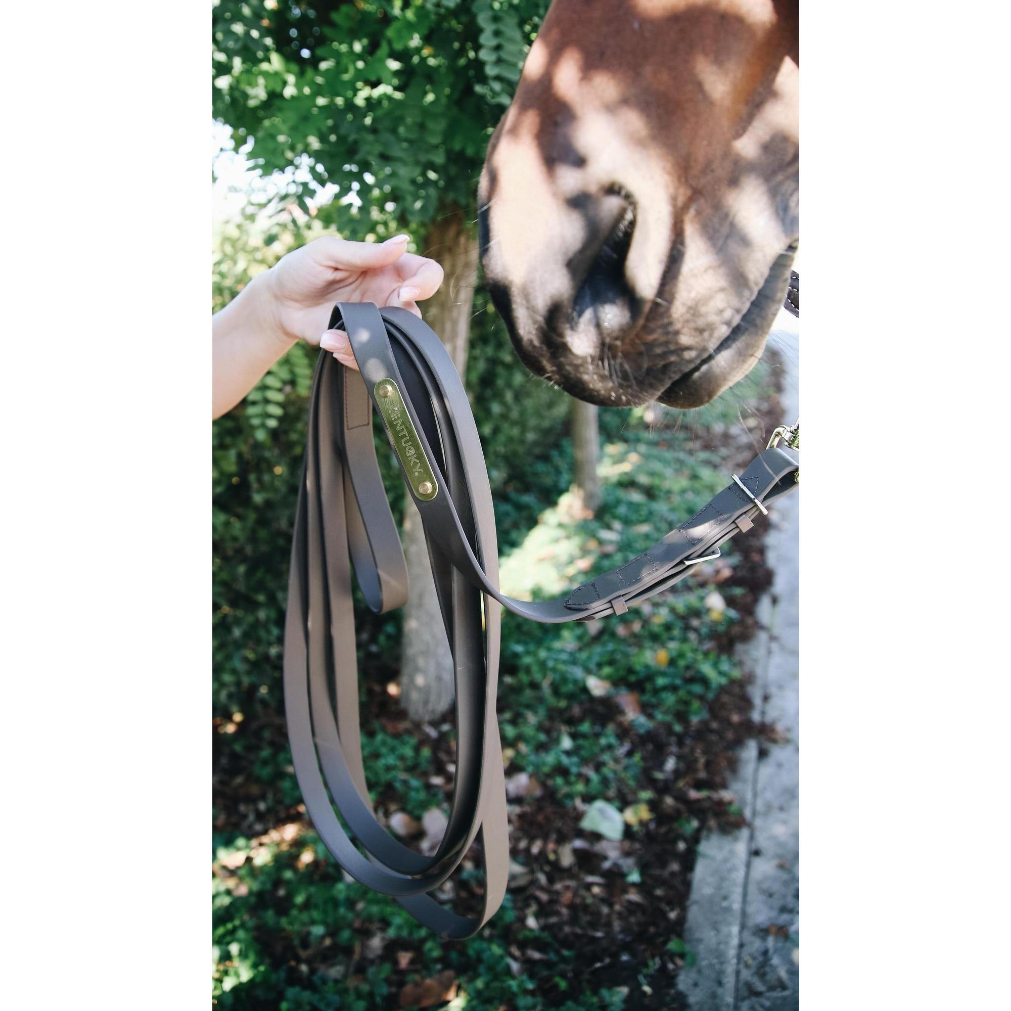 Skórzana smycz na konie do prezentacji Kentucky