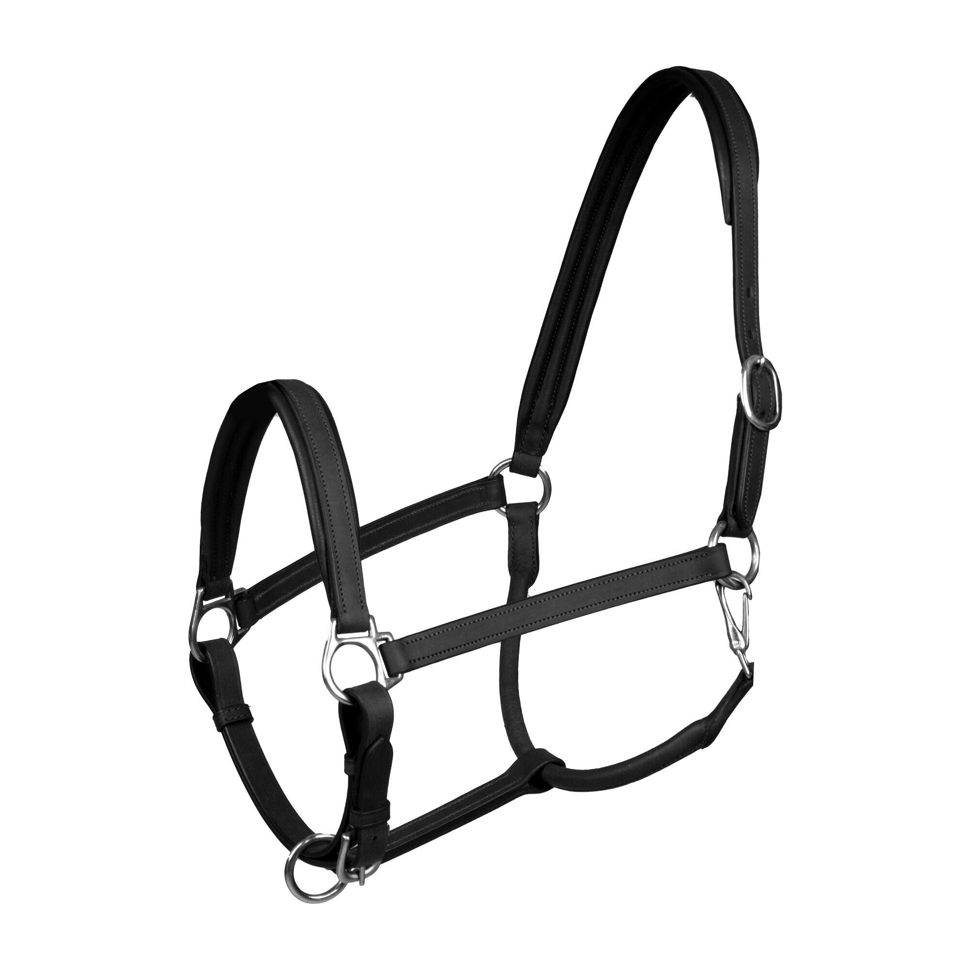 Skórzany kantar dla koni Horka Stockholm