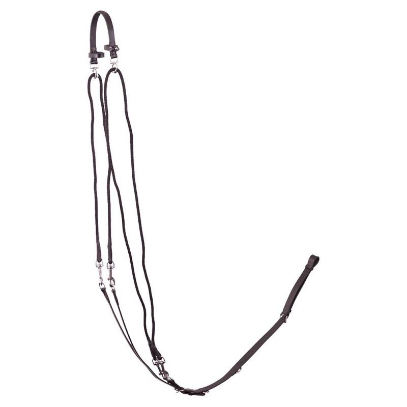 Gogue dla konia Premiere