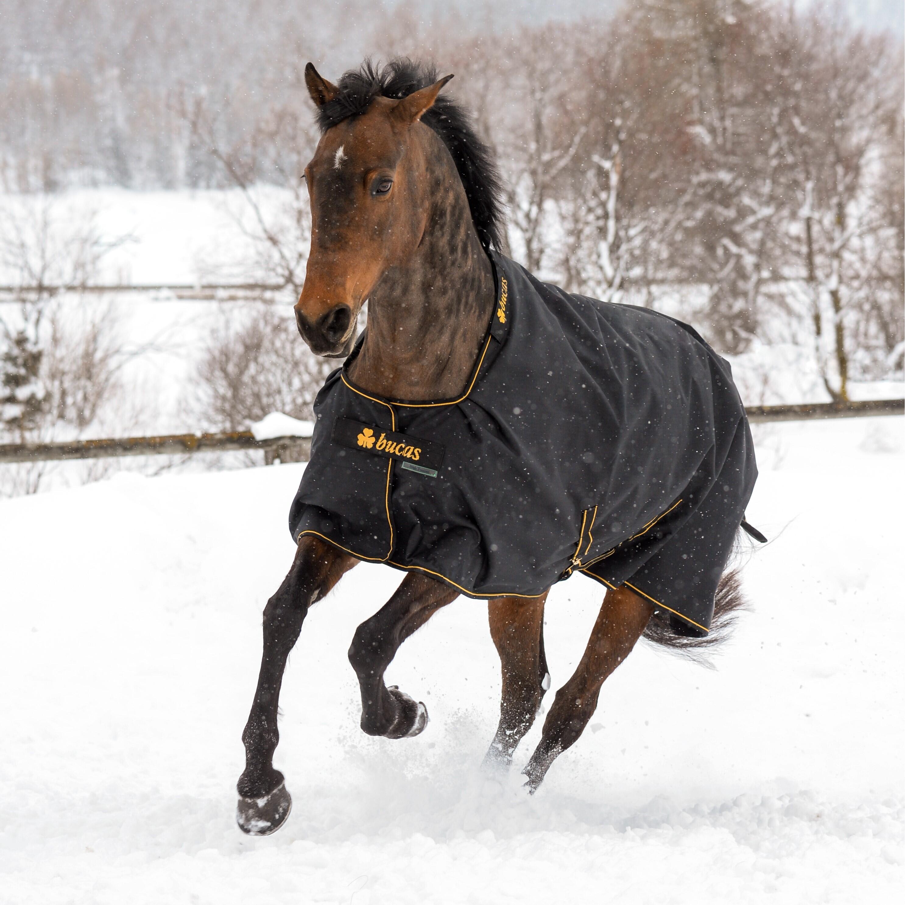 Zewnętrzna derka dla koni Bucas Irish 300g