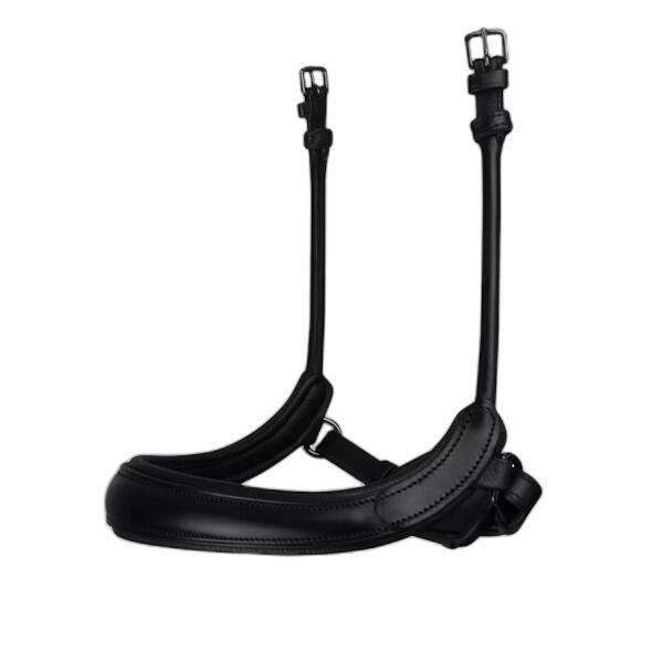 Nachrapnik PS of Sweden Paragon