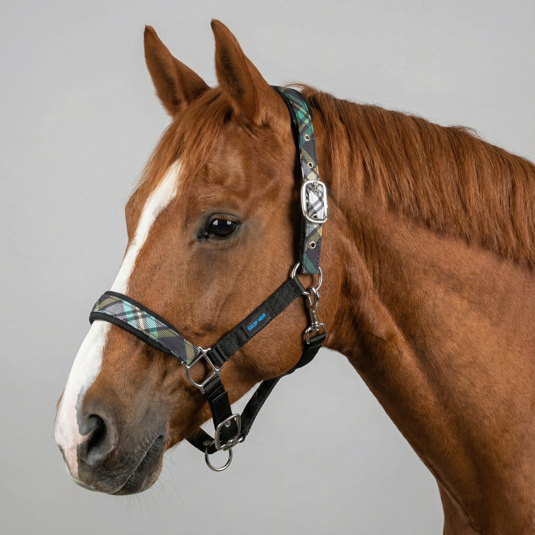 Kantar GALOP WEAR - Heritage Line