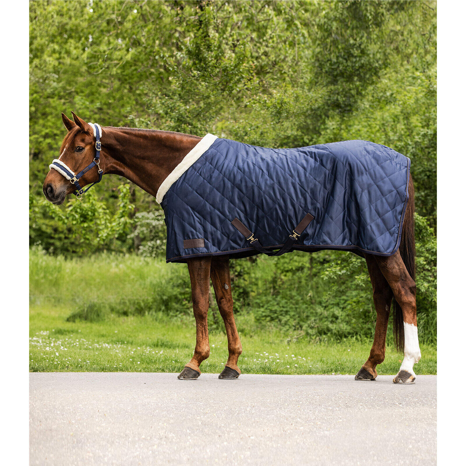 Derka stajenna dla koni Waldhausen Exclusive 50 g