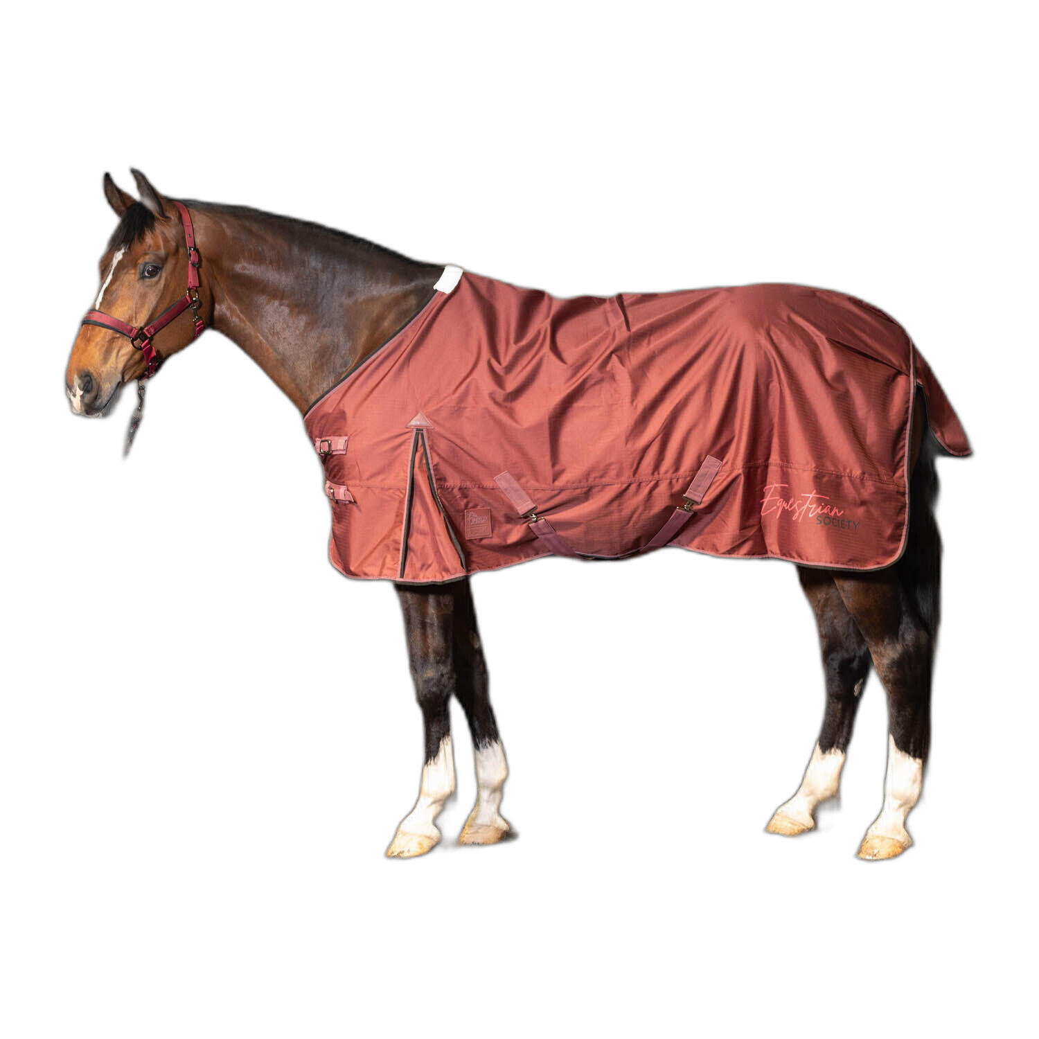 Wodoodporna derka dla konia Harry's Horse Thor 0g