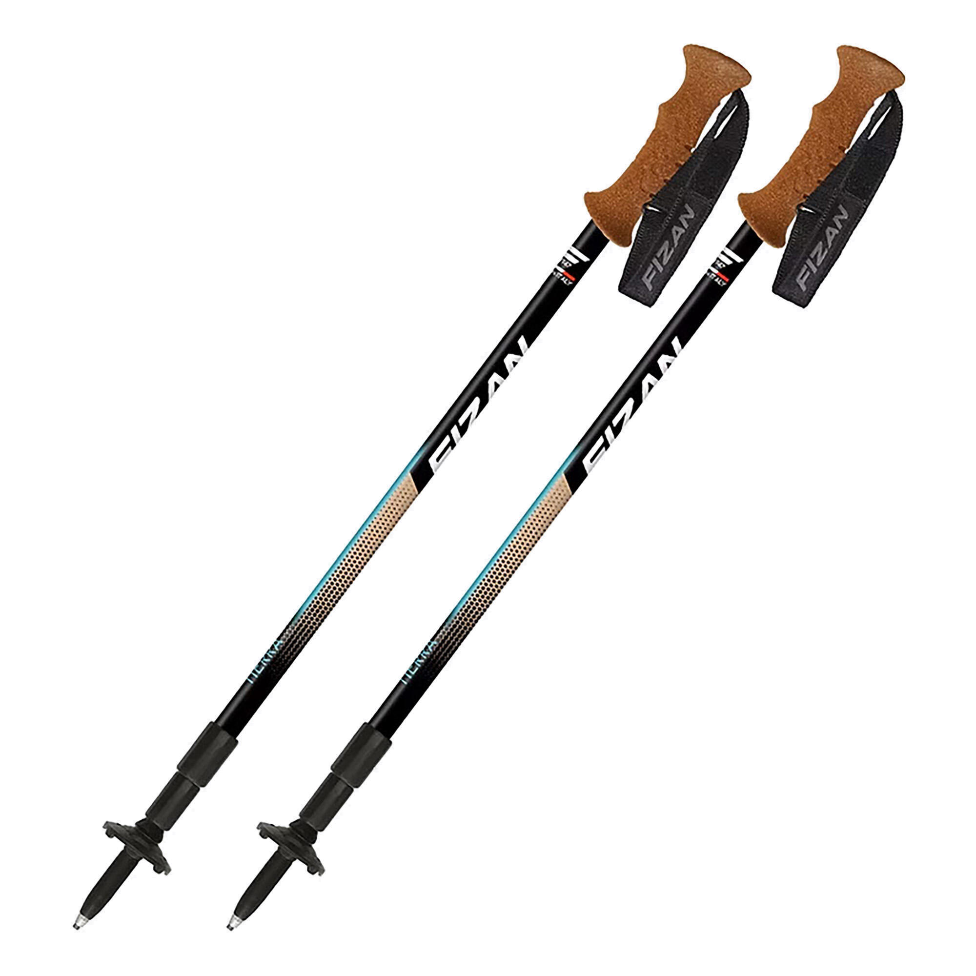 Kije trekkingowe Fizan Tierra