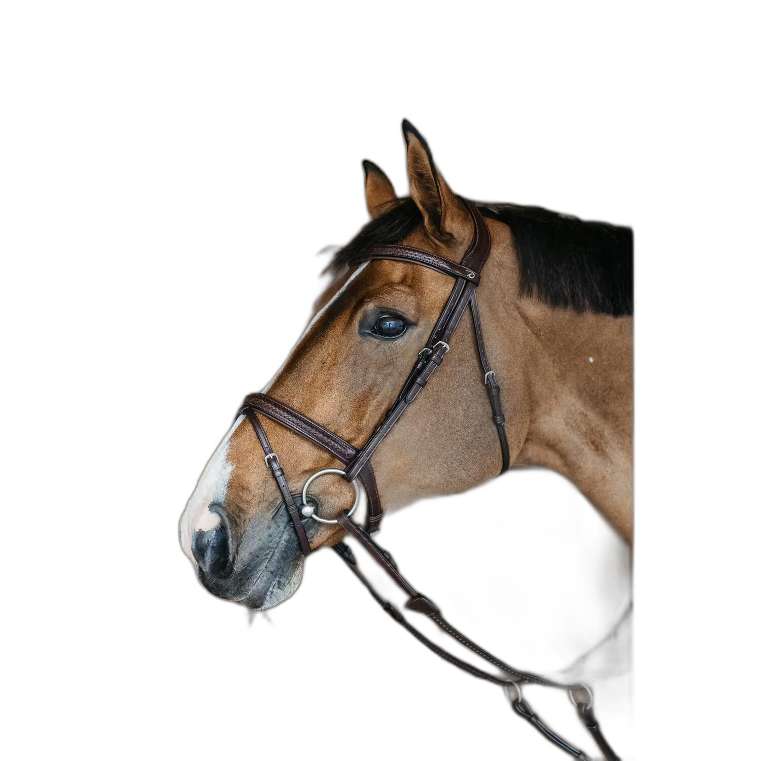 Szelki końskie z kombinowaną muserolą plecioną Dy'on