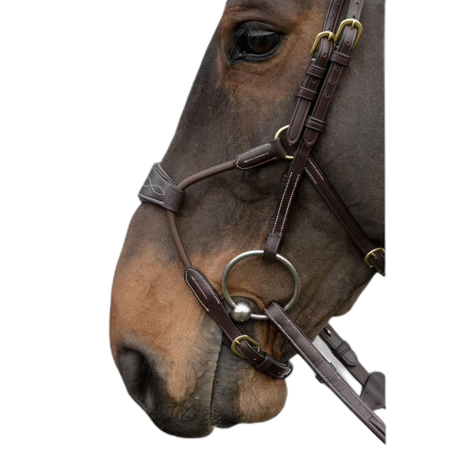 Nachrapnik Dy'on Hybride