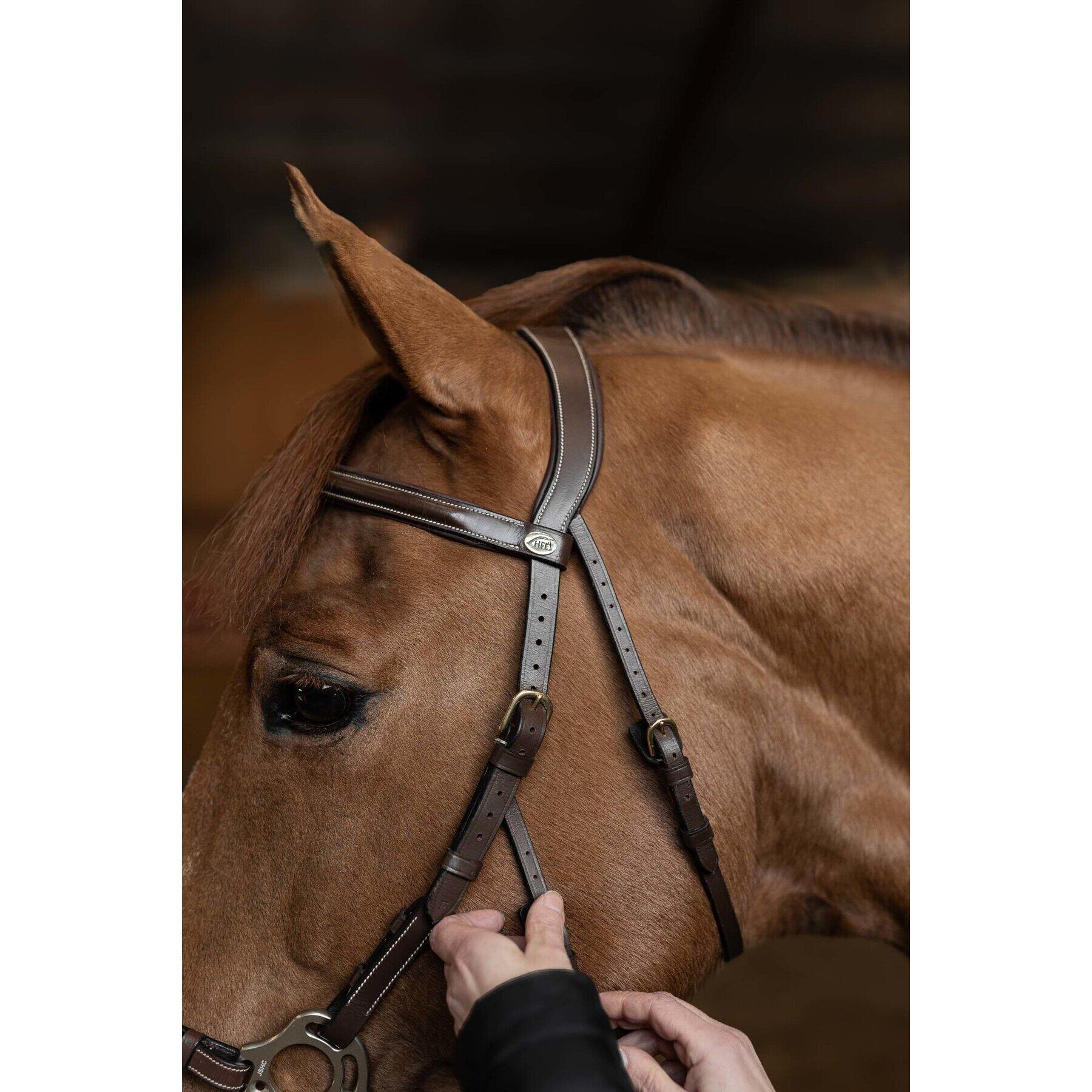 Anatomiczna uzda jeździecka HFI Hackamore
