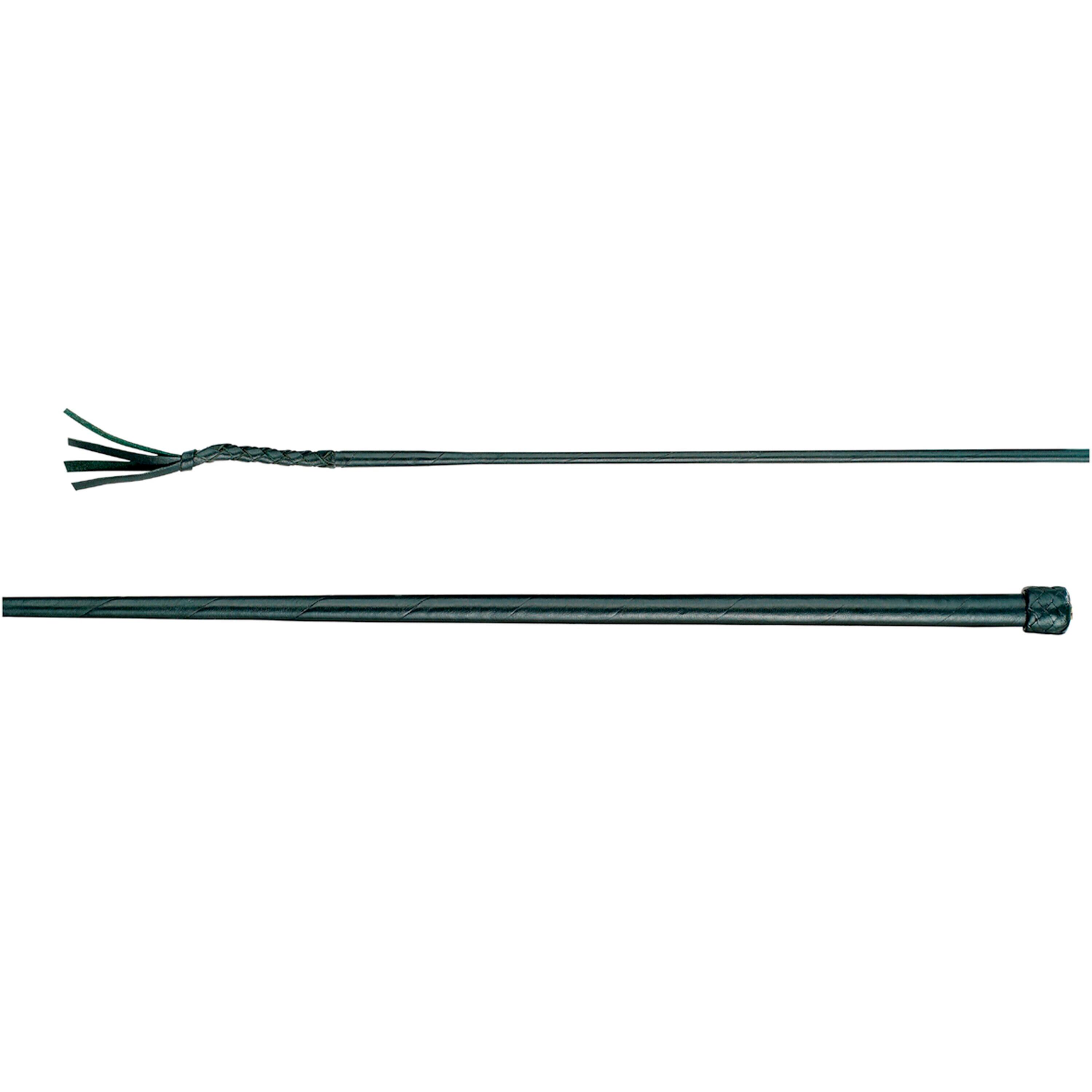 Bicz ujeżdżeniowy dla koni Döbert