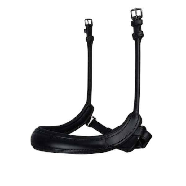 Nachrapnik PS of Sweden Paragon