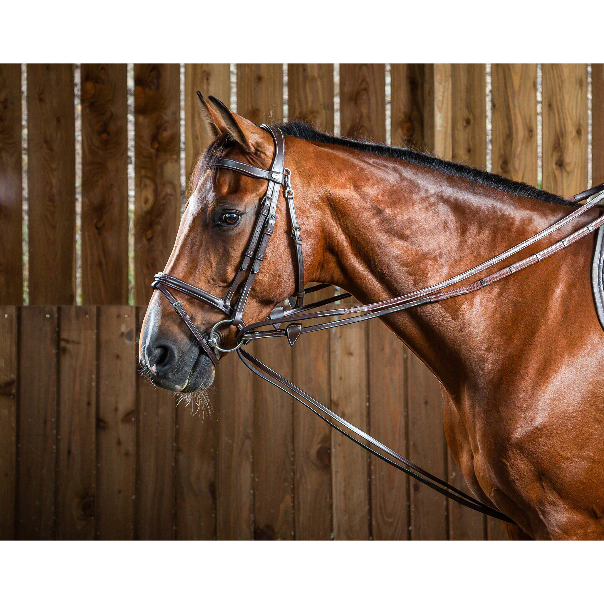 1/2 skórzane lejce dla konia Dy'on Hunter