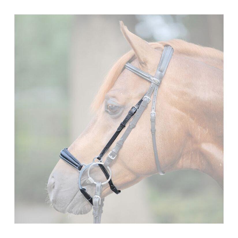 Nachrapnik Kavalkade