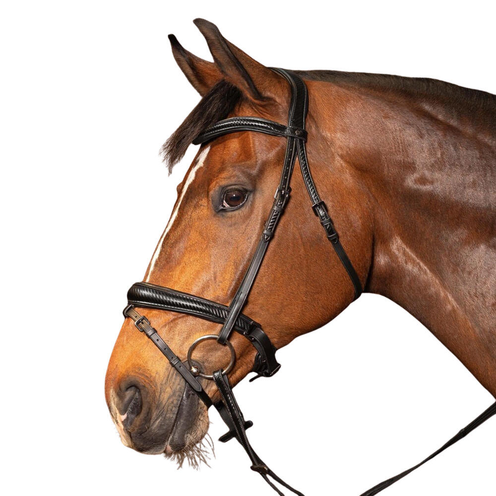 Anatomiczna wędzidło jeździeckie Harry's Horse Soft Carbon