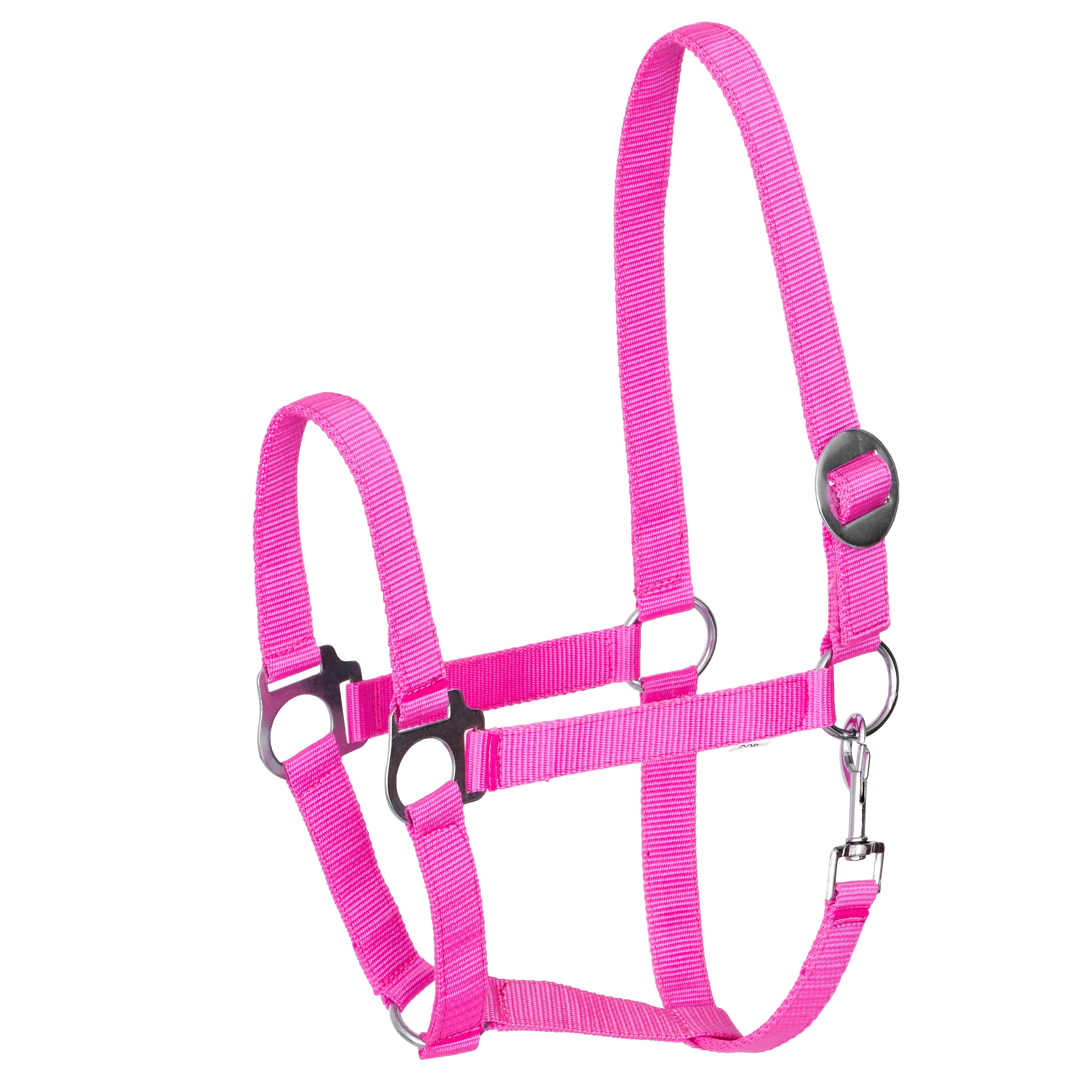 Kantar START Economic