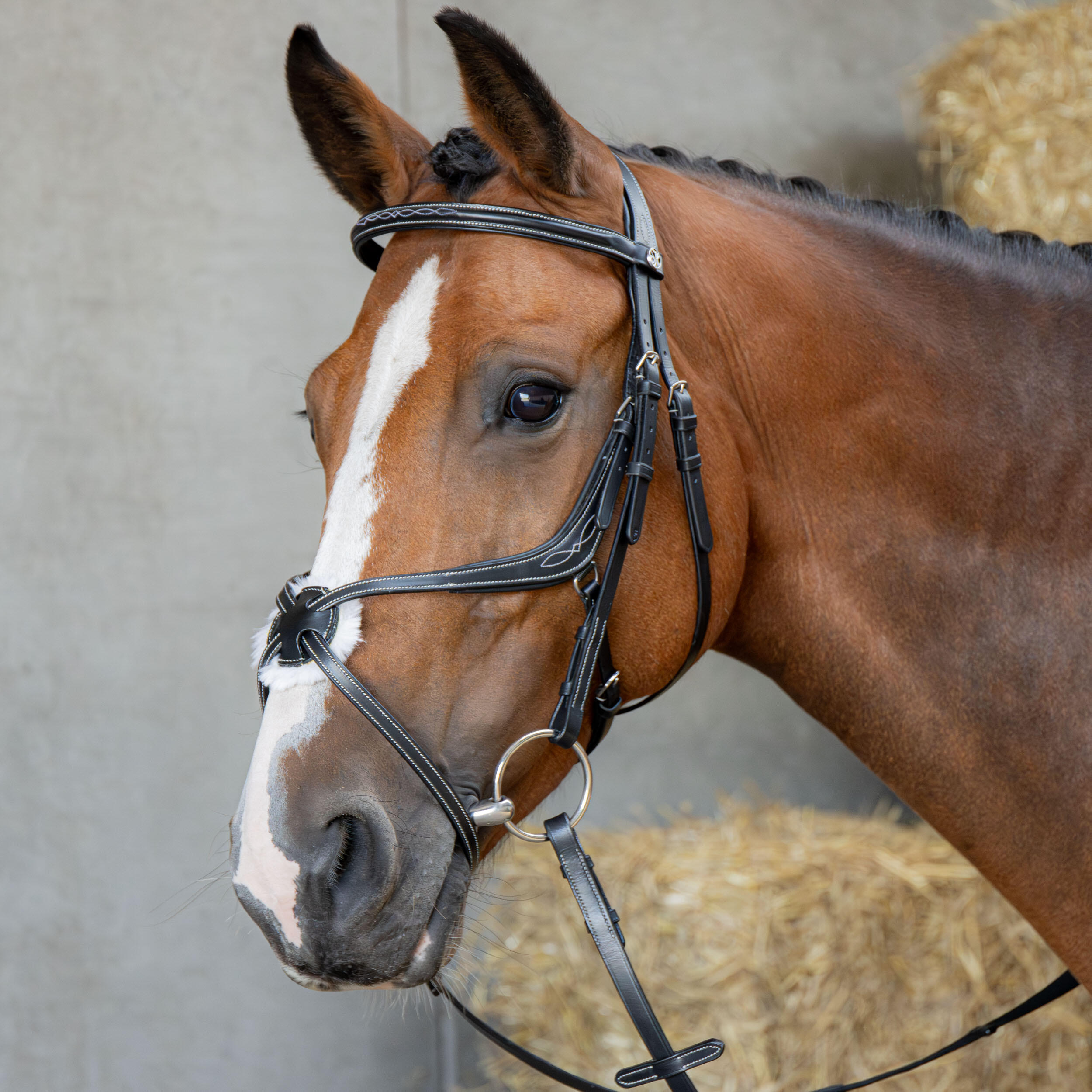 Uzda jeździecka z anatomicznym nachrapnikiem meksykańskim Harry's Horse