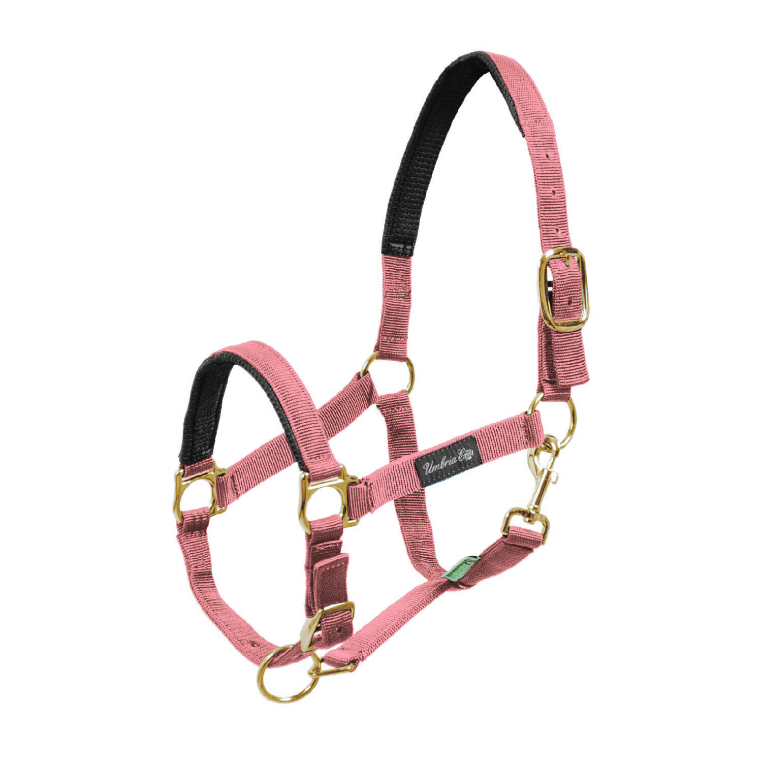 Smycz dla konia nylonowa z wzmocnieniem z neoprenu Umbria Equitazione