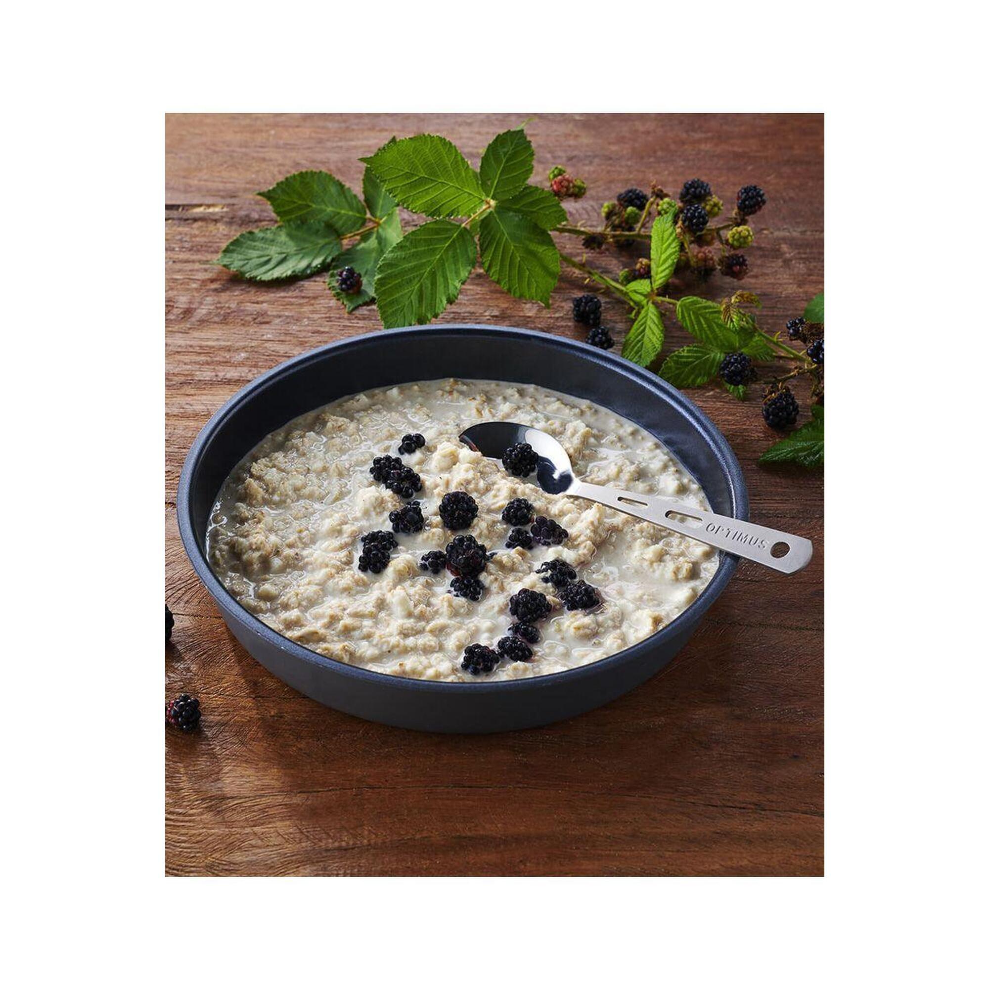 Danie Liofilizowane Trek'n Eat (683) Owsianka Z Jabłkami Pz1000+