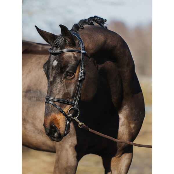 Uzda do jazdy konnej PS of Sweden Stockholm