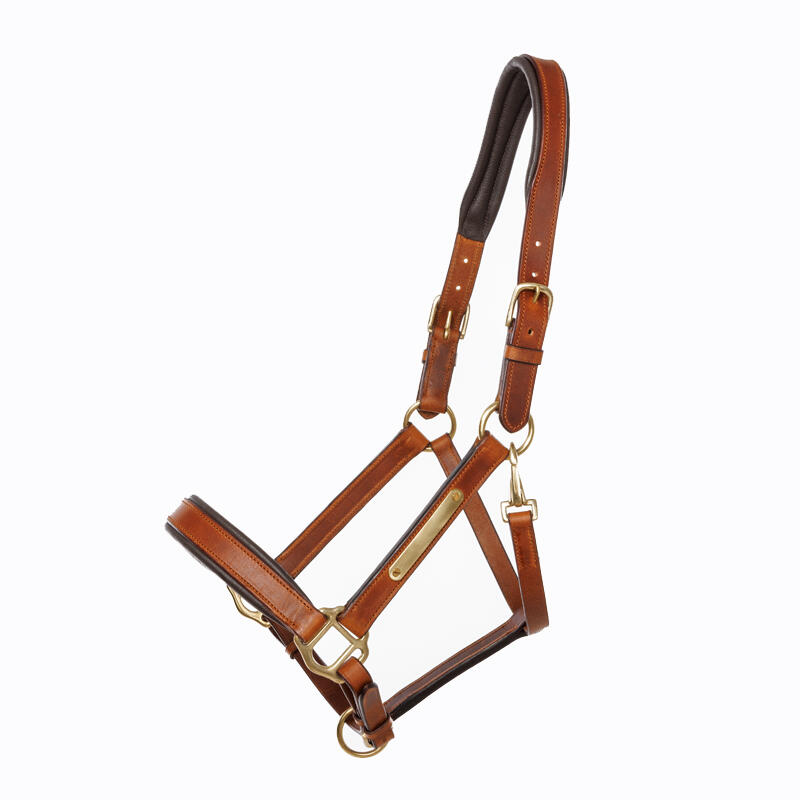 Ogłowie dla konia Kavalkade Cinta