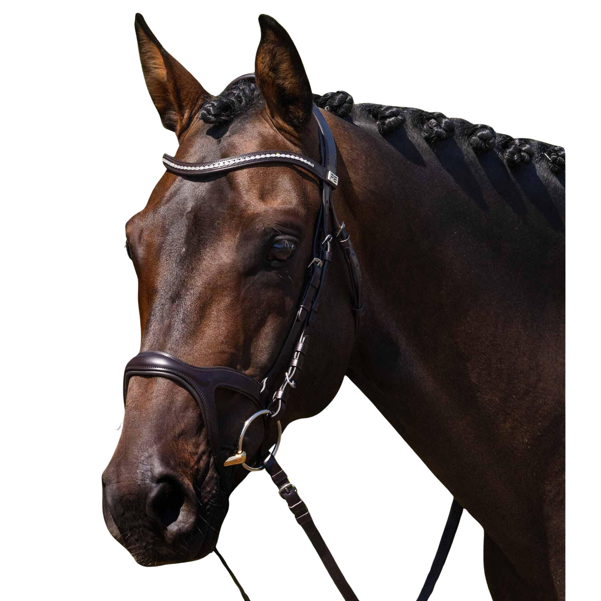 Siodło jeździeckie Premier Equine San Paolo