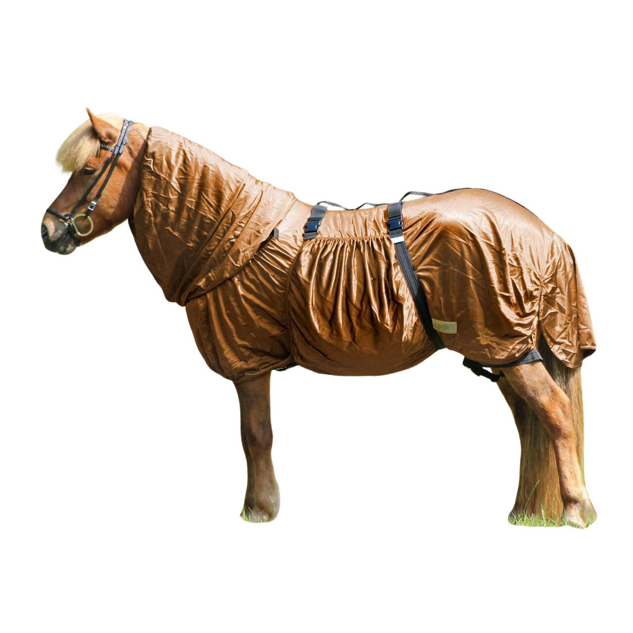 Derka przeciw egzemie dla koni QHP Icelandic