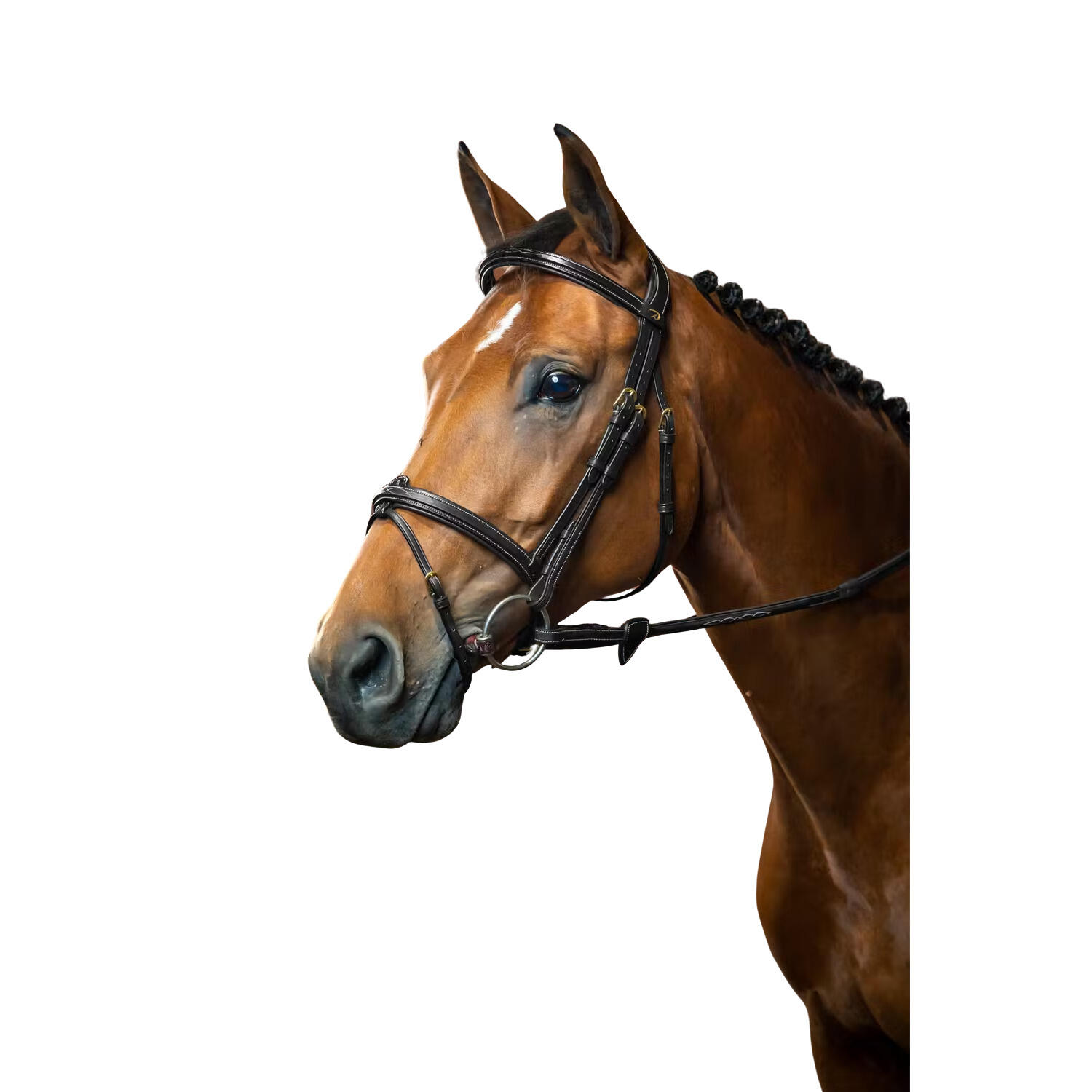 Uzda z nachrapnikiem kombinowanym Dy'on